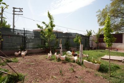 Tepebaşı Şube