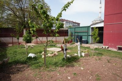 Tepebaşı Şube