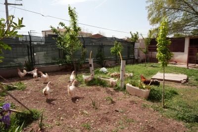 Tepebaşı Şube