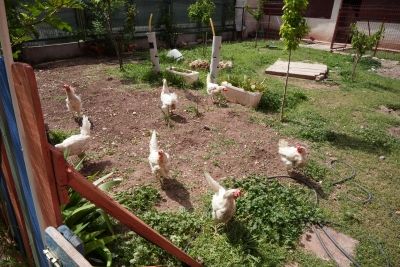 Tepebaşı Şube