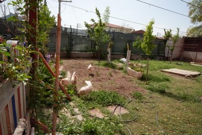 Tepebaşı Şube